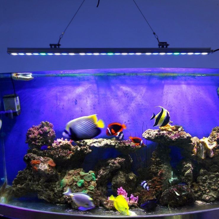 Led светильник для аквариумов с зажимом, LED Lamp 200-1165мм  4-60W