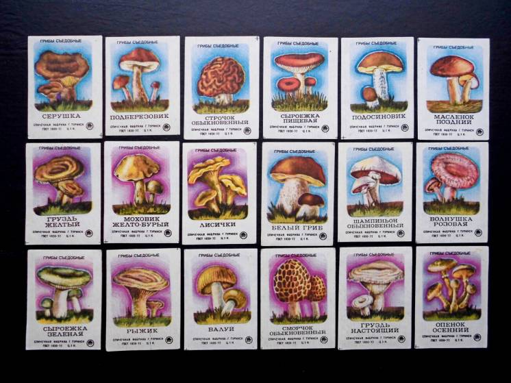 Спичечные этикетки набор Съедобные грибы