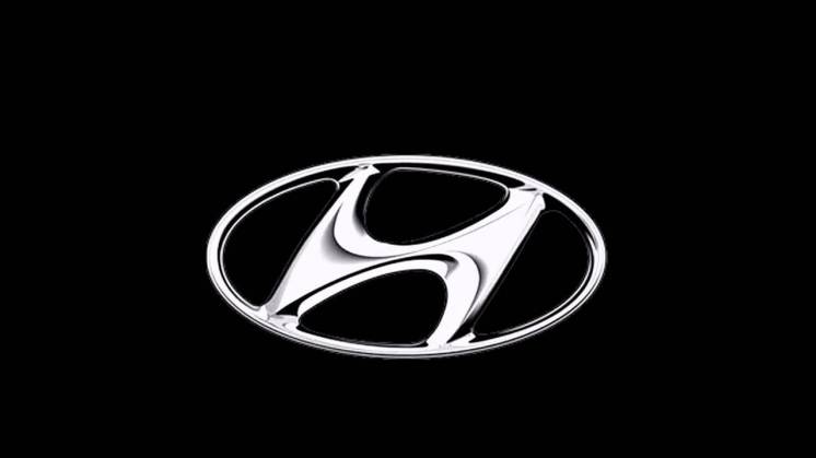 Разборка Hyundai Santa Fe Tucson ix35 Accent Getz i30 Elantra Sonata